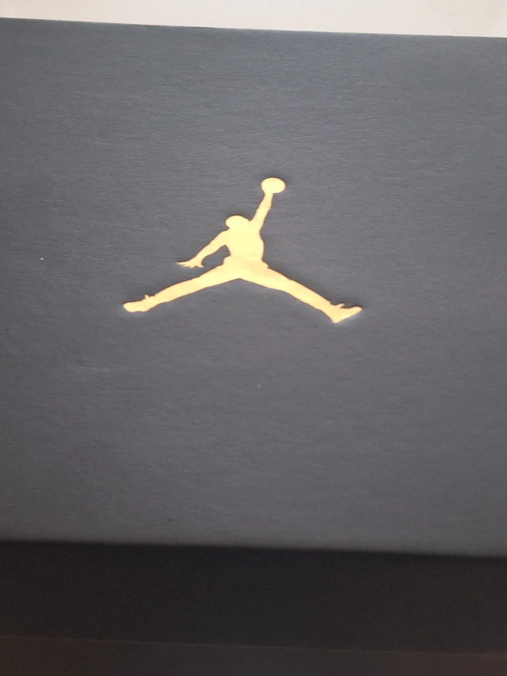 Jordan High-Top Sneakers in White and Gray